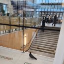 비둘기미용실 이미지