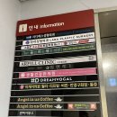 지디에스성형외과의원 네이버블로그