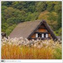 ㈜한국교통(마을버스) | 일본 나고야 여행 시라카와고 버스투어 다카야마 일일투어 예약 후기