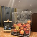 루체른 | [스위스여행] 루체른 숙소 후기 / 호텔 모노폴 루체른 후기 / Hotel Monopol Luzern