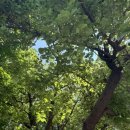 수원주유소 이미지