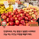 오빠네과일 이미지