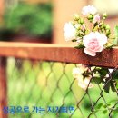 하늘바람 이미지