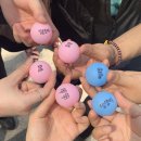 공향숙농촌교육농장 | 1차 연합 미션 : 목적지도 활동도 비밀?!🧐 커넥트버스 봉사 후기