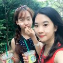 천제연폭포[남] 네이버블로그