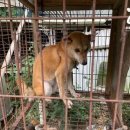 안한농장 이미지