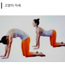 소화가 잘되는 자세?! 이미지