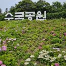 모드니여행사