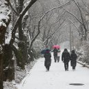 앞산공원 이미지