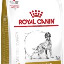 로얄펫동물병원 이미지