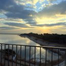 네스트(NEST) 이미지