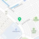 사파동194 이미지