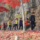 외씨버선길(오일도시인의길) 이미지