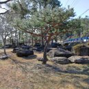 완도 고금도 지석묘군 이미지