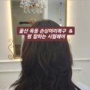 신정헤어라인22