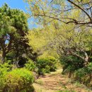 수림 농장 이미지