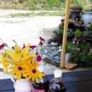 청등농장 이미지