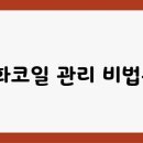 코일
