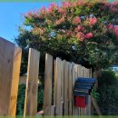 서현민박 이미지