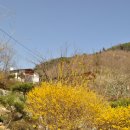 한덕농장 이미지