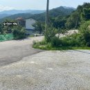 소금강버들펜션 이미지