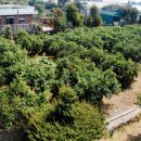 주화농장 이미지