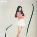 브리제 이미지