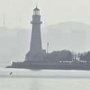 토토식당 이미지