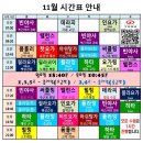 빈야사요가 초급반 이미지