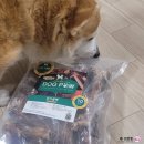 도그파우 이미지