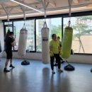 복싱그자체 이미지