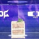 현재까지 롤로파 2025 League of Legends Asia Invitational 요약 이미지