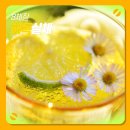 라리마한의원 | [정보: 8체질] 8체질 해독의 실체