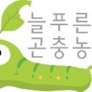 늘푸른소리 농장 이미지