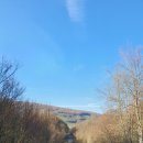 황진목장 이미지