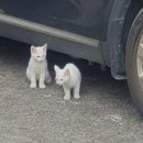 안경세상 운천신봉점 | 그래 난 박살낼테다 세상의 평화