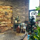 피자코코 | 청주 오창 화덕피자 맛집 ‘화덕피자 코코’ 내돈내산 솔직 후기