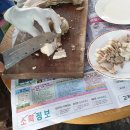 상룡농장 이미지