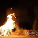 들불