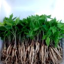 교산농장 이미지