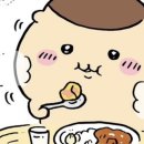 1상 티비