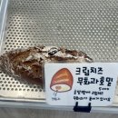 코코로팡 이미지