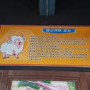 친우양꼬치
