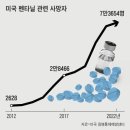 美 노동자 630만명이 펜타닐에 빠져… 사망자만 연 7만명 넘어 이미지