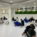 라텔주짓수고척