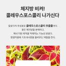 진메디칼솔루션 이미지