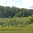 북서울꿈의숲 이미지