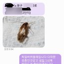 하나방역강북지사 이미지
