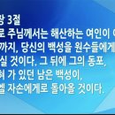 미가 이미지