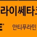 플라이쎄타 코리아